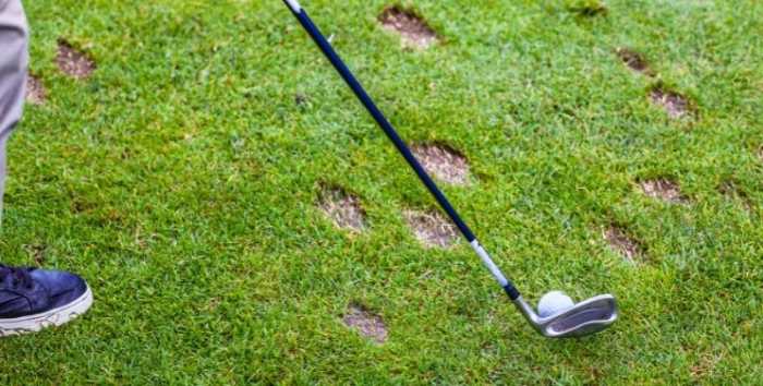 Best Golf Terms: A Comprehensive Dictionary To Golf Slang 3 Many divots surround a golfer before he hits his next shot